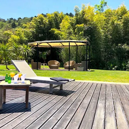 Saint Tropez Le Chant Des Oliviers *