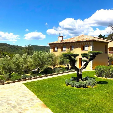 Saint Tropez Le Chant Des Oliviers * 孔格林