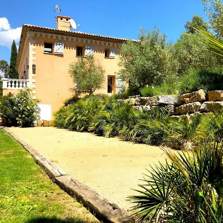 Saint Tropez Le Chant Des Oliviers *